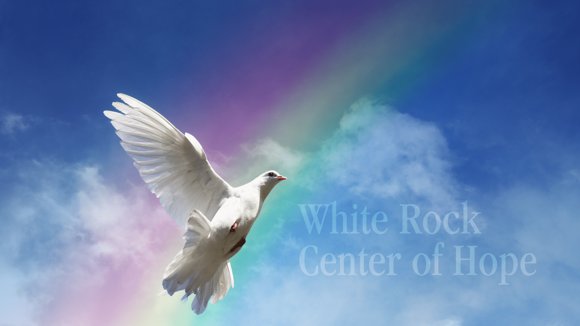 Thank you for your donation to White Rock Center of Hope